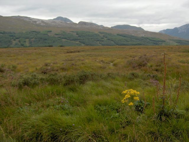 hpim1801.jpg (large)