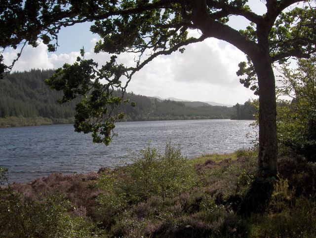 hpim1891.jpg (large)